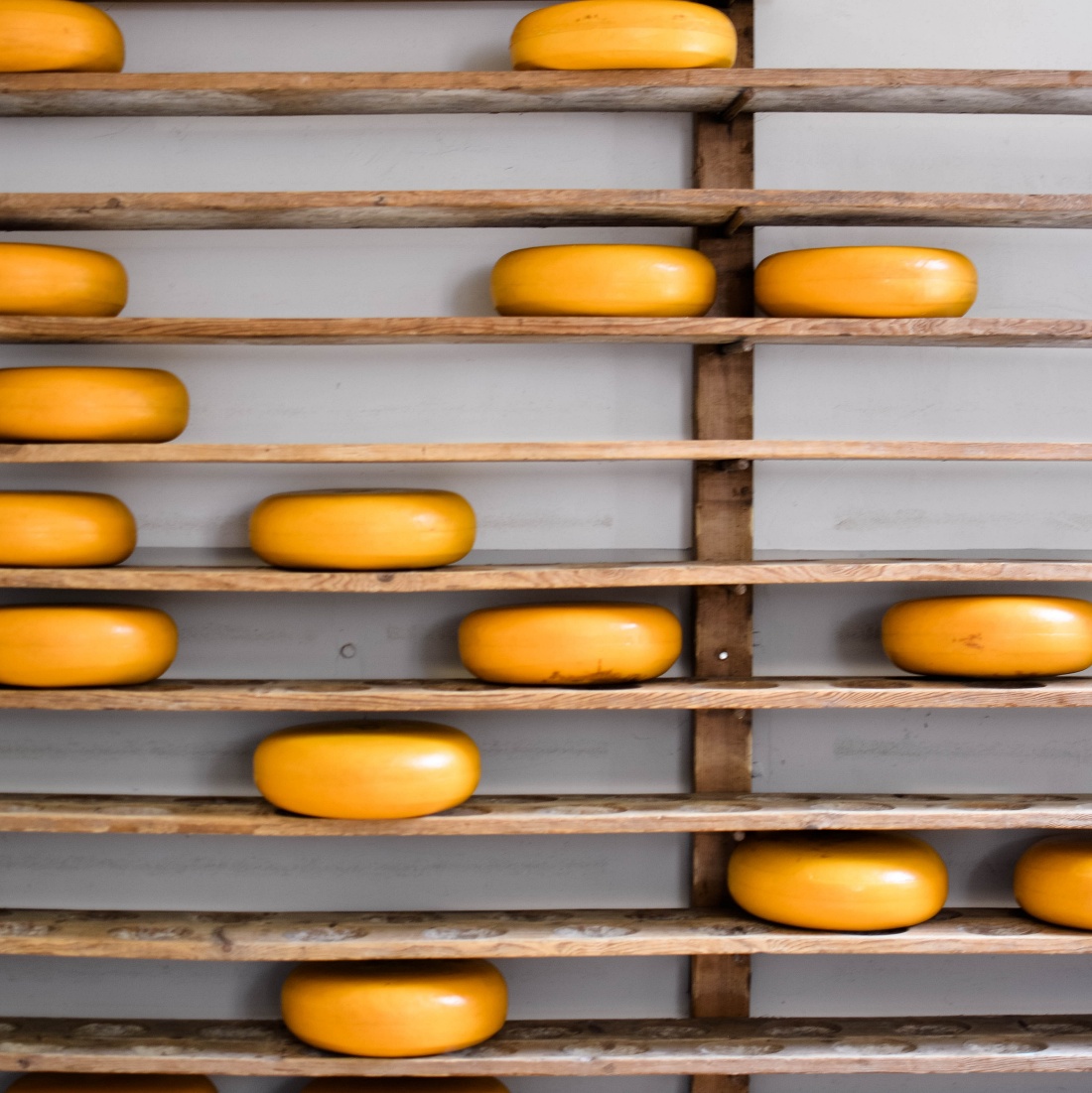 Why Old Cheese is Drier, Pittier & Crumblier: The Aging Process